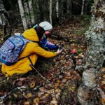 Фото: автор Марина Меньшикова, предоставлено пресс-службой национального парка «Русская Арктика»